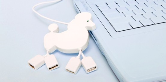 USB_hub_poodle